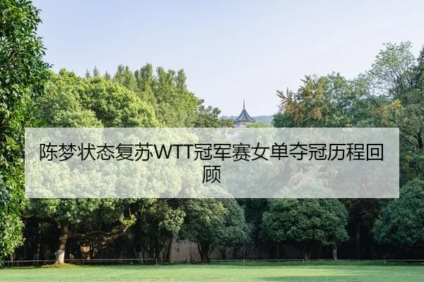 陈梦状态复苏WTT冠军赛女单夺冠历程回顾